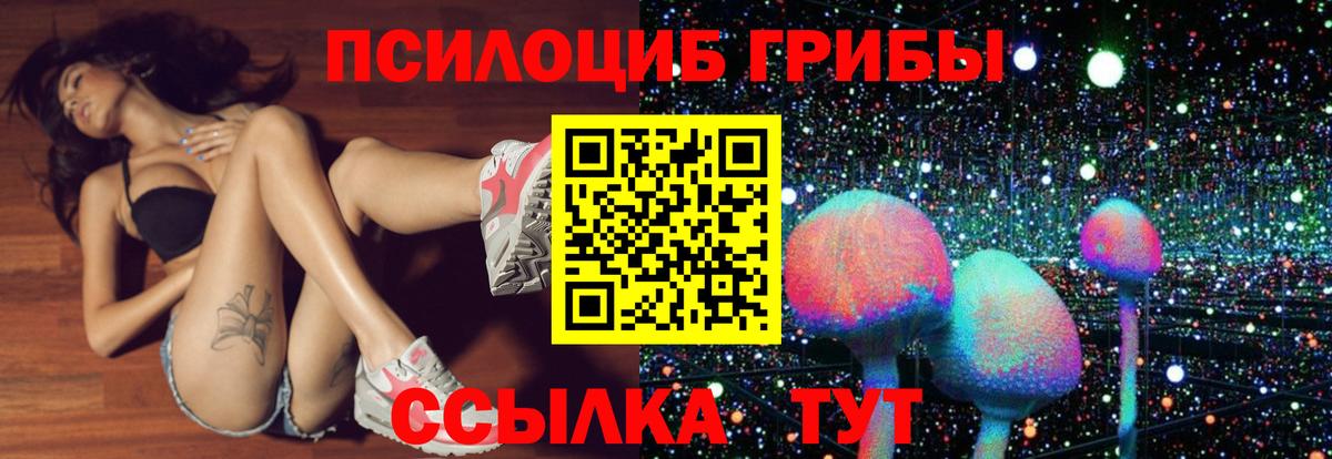 Черняховск  Галлюциногенные грибы Magic Shrooms  Псилоцибиновые грибы Magic Shrooms  Вход с VPN 