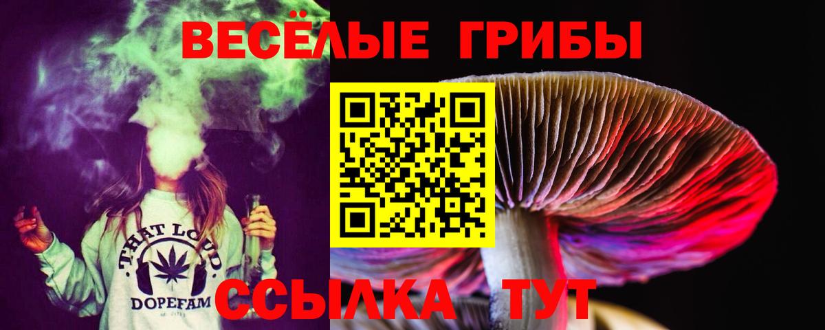 Галлюциногенные грибы прущие грибы Черняховск